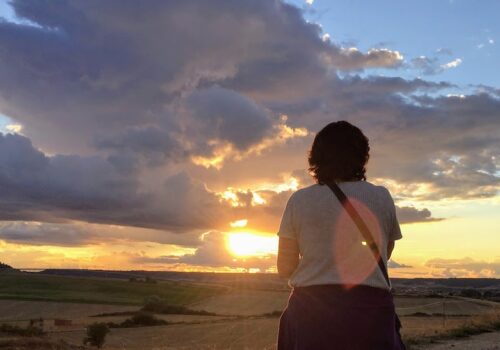 Puesta de sol en el Cerrato