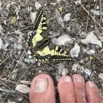 Pies conectados a la tierra y a la naturaleza
