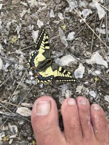 Pies conectados a la tierra y a la naturaleza